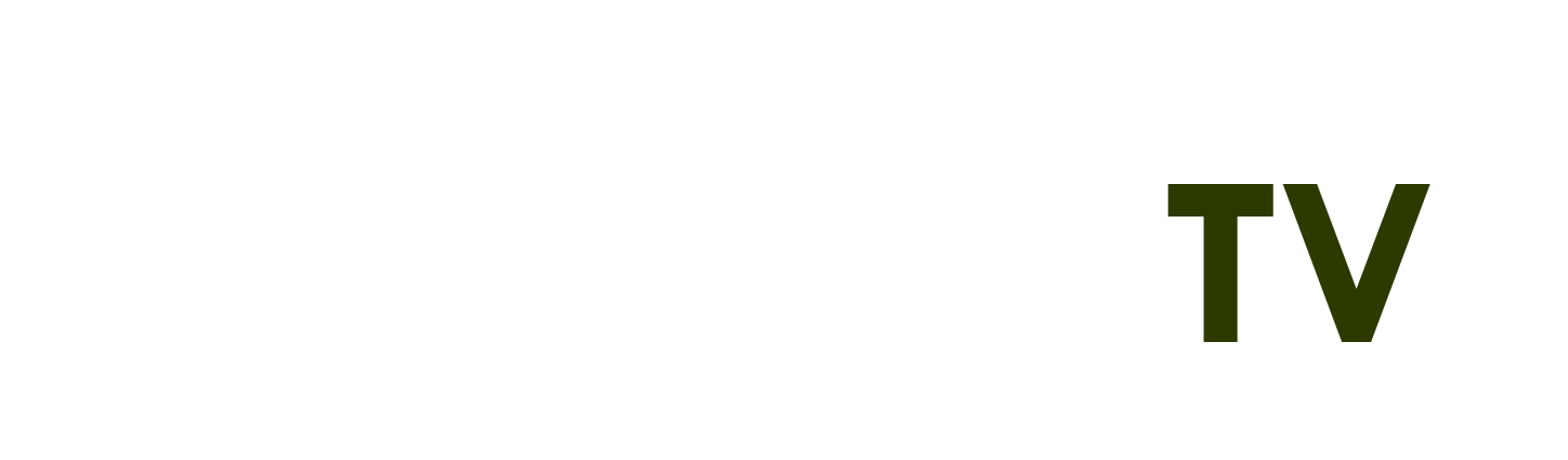Future Led - phở bò